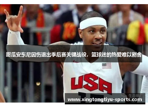 甜瓜安东尼因伤退出季后赛关键战役，篮球迷的热爱难以割舍